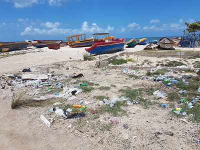 Rocky Point, Clarendon (garbage)